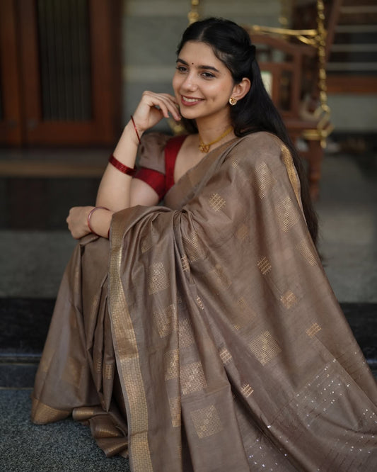 Benarasi warm silk
